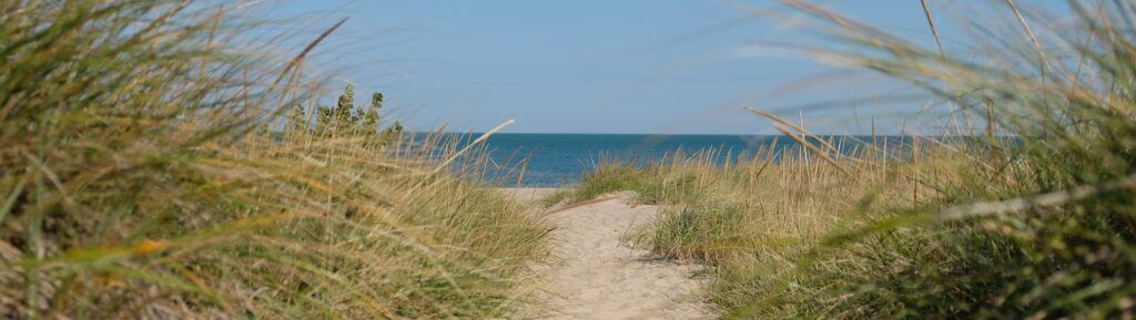 Celebrating Our One-Year Honeymoon at the Indiana Dunes